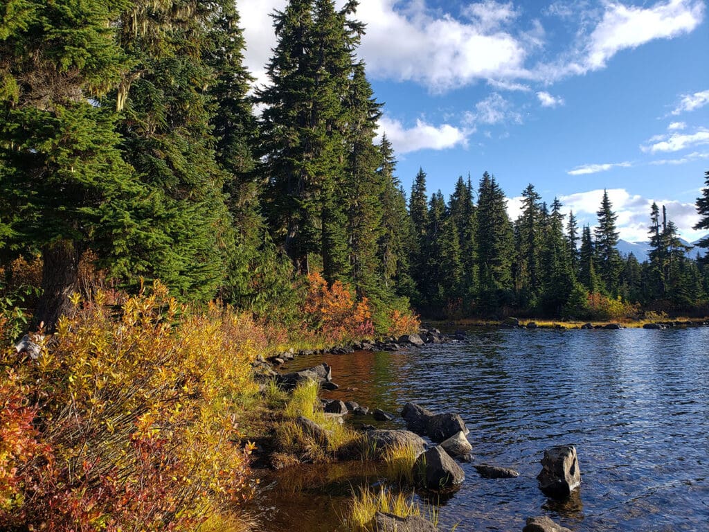 a view of callaghan lake in british columbia