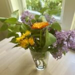 handpicked garden flowers