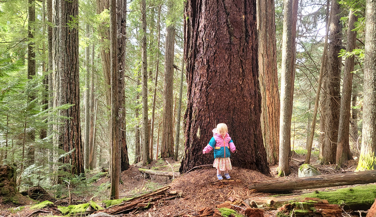 The Best Toddler-Friendly Hikes in the Sea to Sky