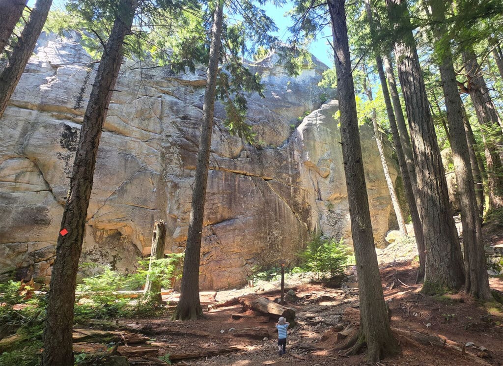a two-year-old hikes in the forest next to a big rocky crag in murrin park near squamish