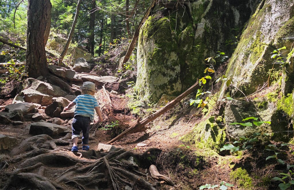 a toddler hikes over roots in a rocky section of trail at murrin park in squamish